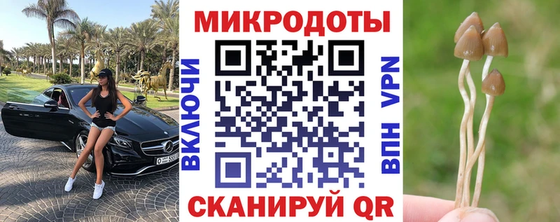 KRAKEN tor  как найти   Валдай  Псилоцибиновые грибы GOLDEN TEACHER 